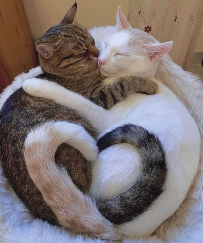  , , , , , 