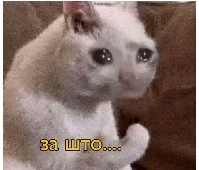             ? , , , ,   ,  , , , ,   