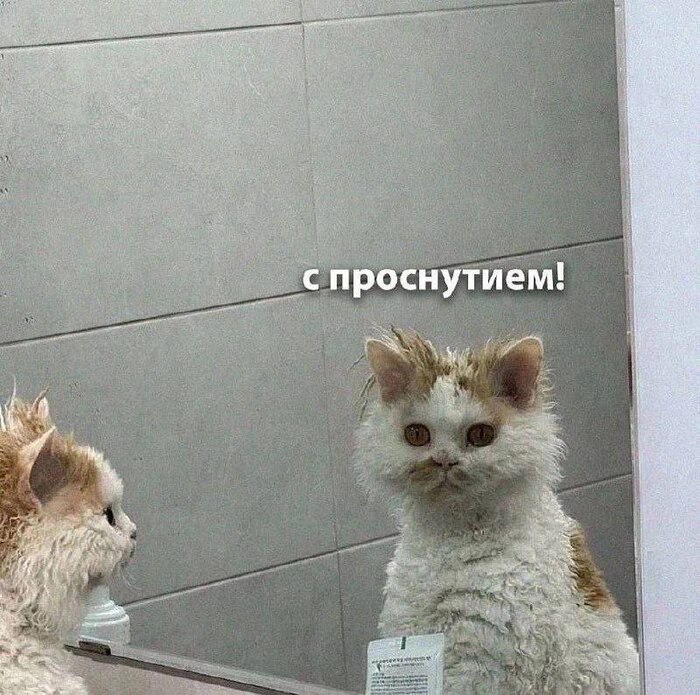 Когда прилегла в обед на полчасика