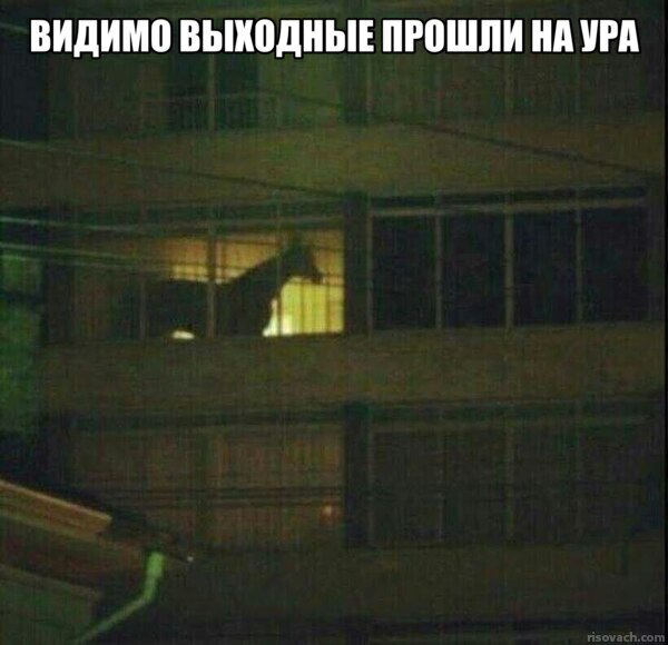 �������������