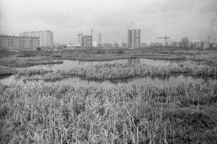 Walking through a new housing development, late 60s - the USSR, Black and white photo, Everyday life, 60th, 70th, Childhood in the USSR, Building, Longpost, Moscow