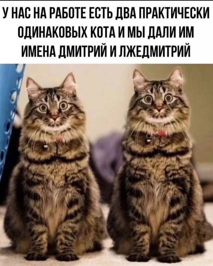     ,  , ,   , , 