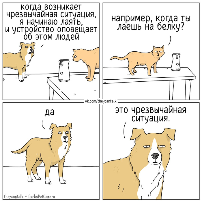   Theycantalk,  , , , ,  ,    