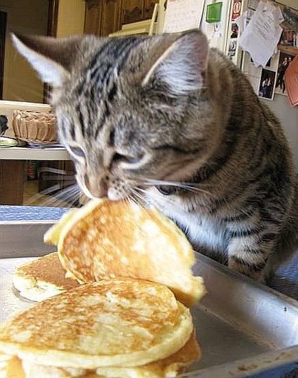 Иди сюда, моя прелесть!