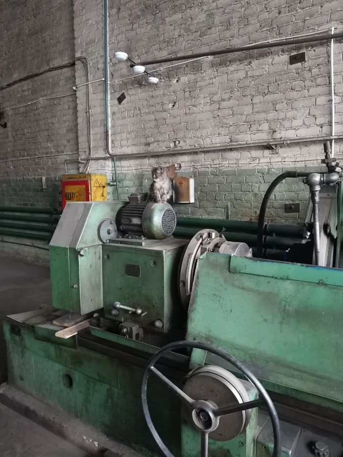 ������� ��������!