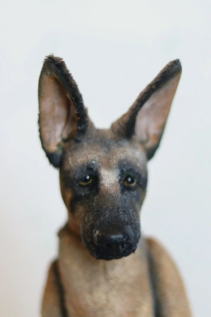 The most devoted creatures... - Author's toy, Doll, Needlework without process, Handmade, Longpost, Dog