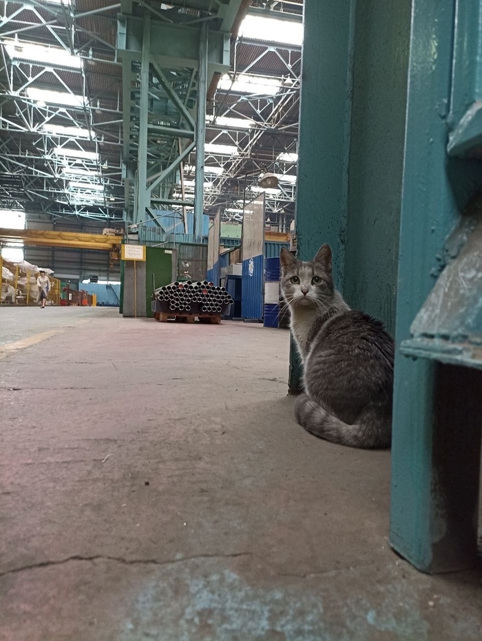 ������ ��������� - ������ �������