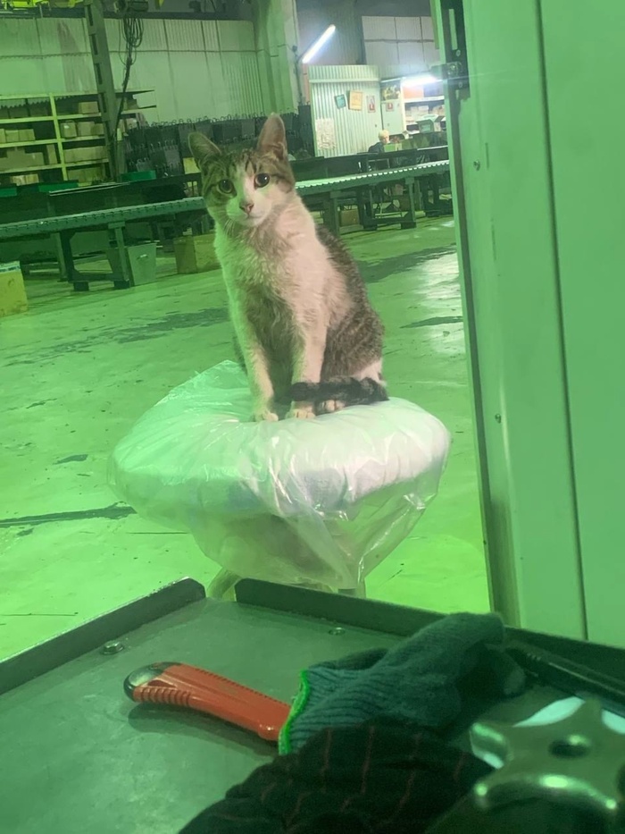 �������� �������