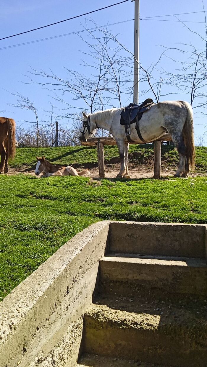 Я уронила девушку...