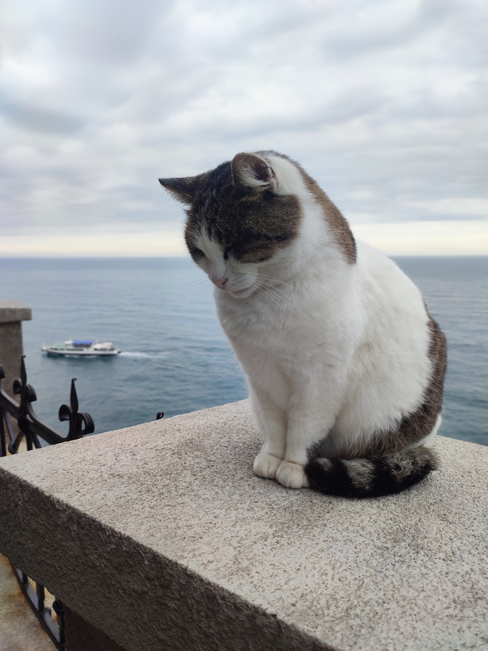 ����� �� ���� �������� ����� � ������