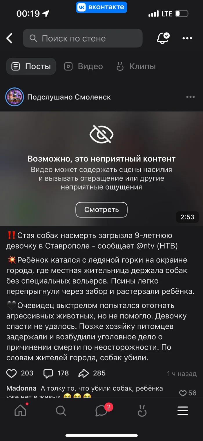 Stop the planet, I'm getting off - Dog, Stray dogs, Attack, Dog attack, Radical animal protection, Peekaboo, In contact with, VKontakte (link), Longpost