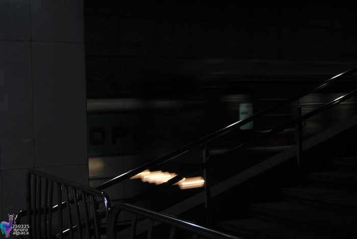 ISO 200, 1/25, f/4.8, 38 мм