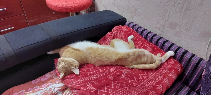   ? ,  , , , 
