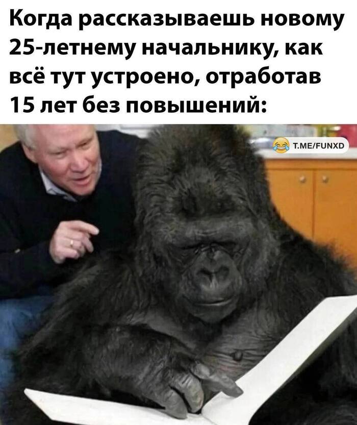 ������ �����