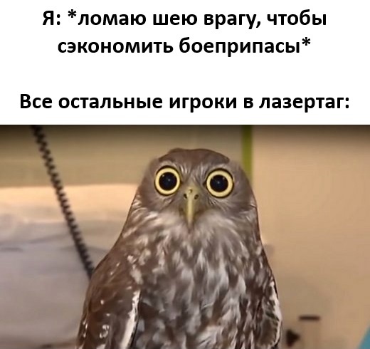  ,   , , , Telegram (),  