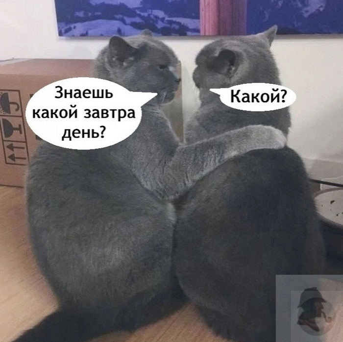    , , , , , ,  , , , , , ,   