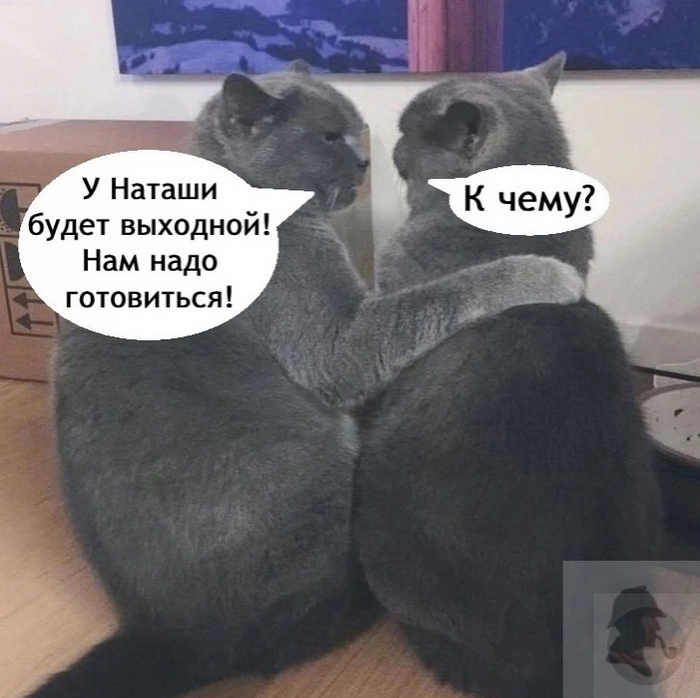    , , , , , ,  , , , , , ,   