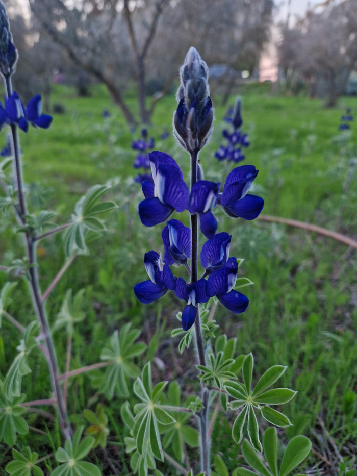 �� �������� ���������� "������"