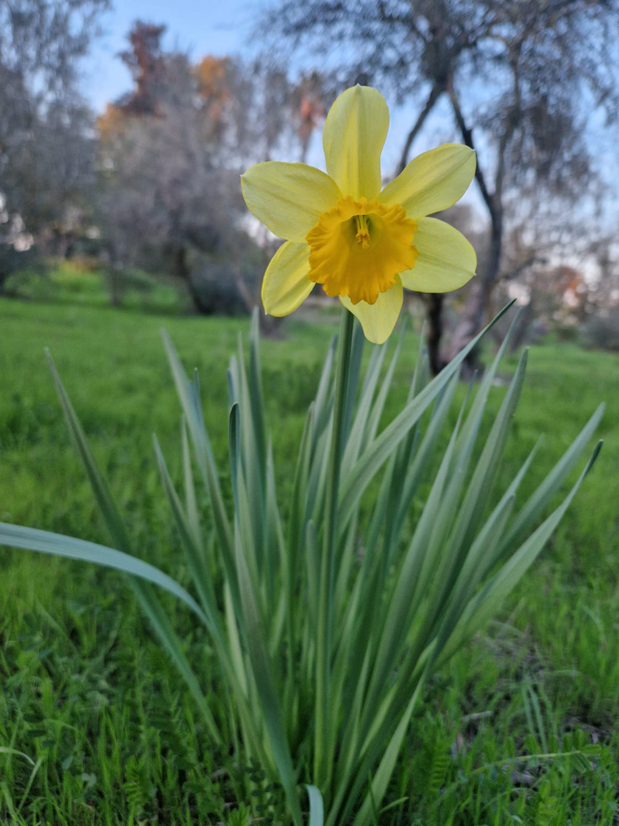 �������� �����