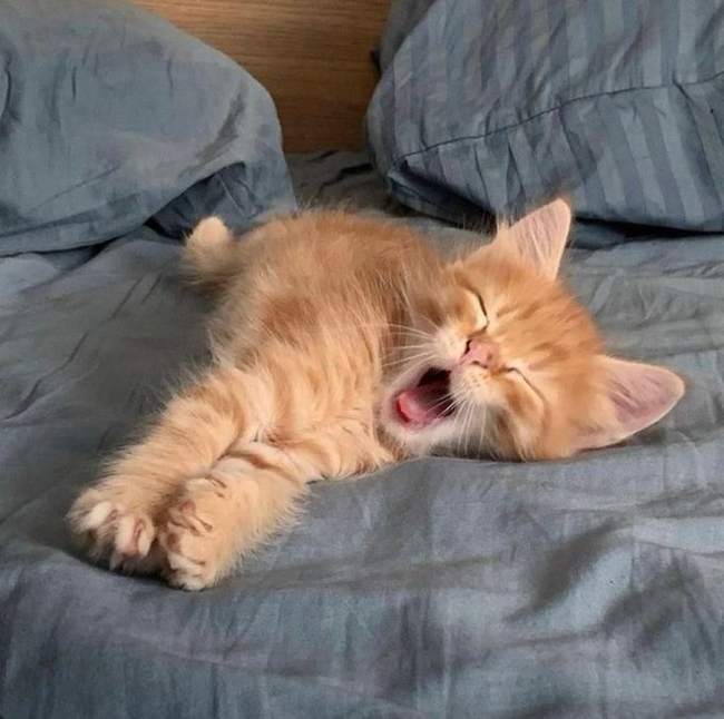  , ! , , ,  