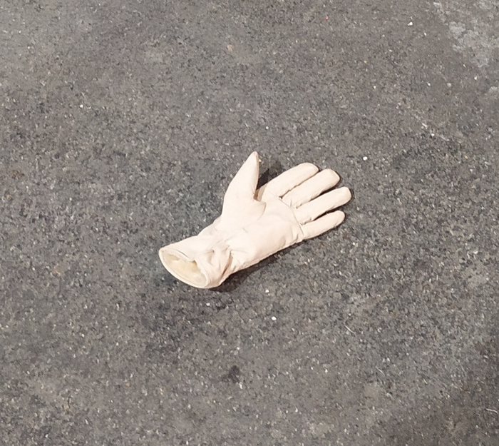    , , ,  ,  , , 