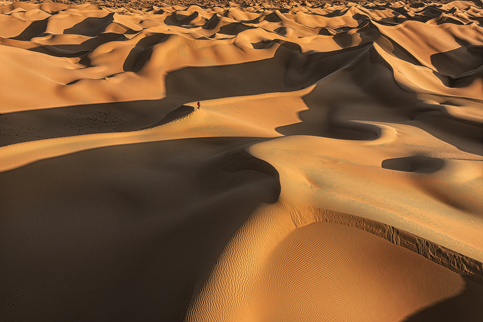 EXIF | L2D-20c, 1/2500, f/2.8, iso:100