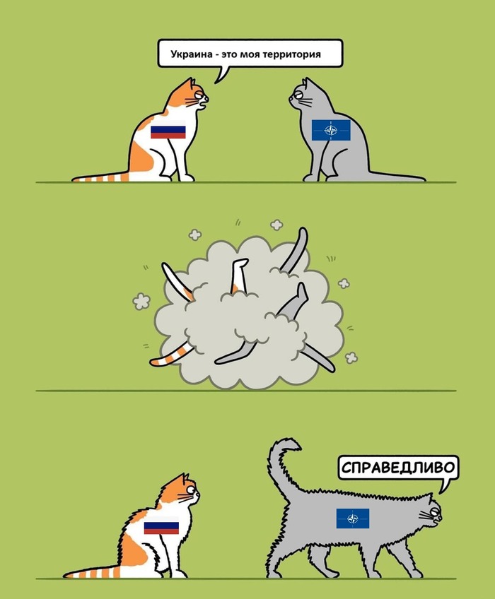 ������� ����