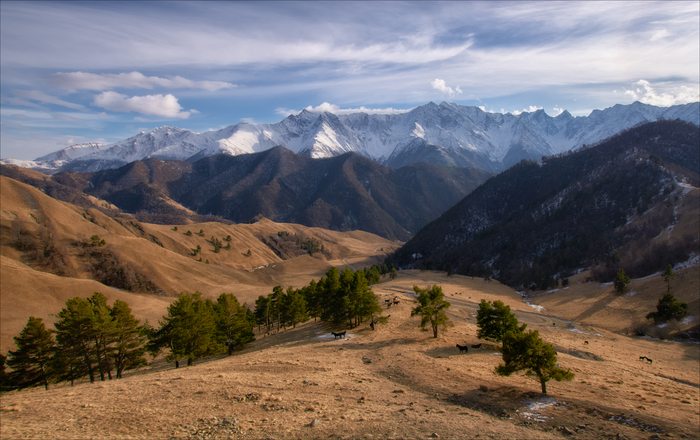 Самая дальняя точка маршрута. Спуск с перевала к башенному комплексу Цори. Чуть дальше уже погранцы и граница с Чечней.