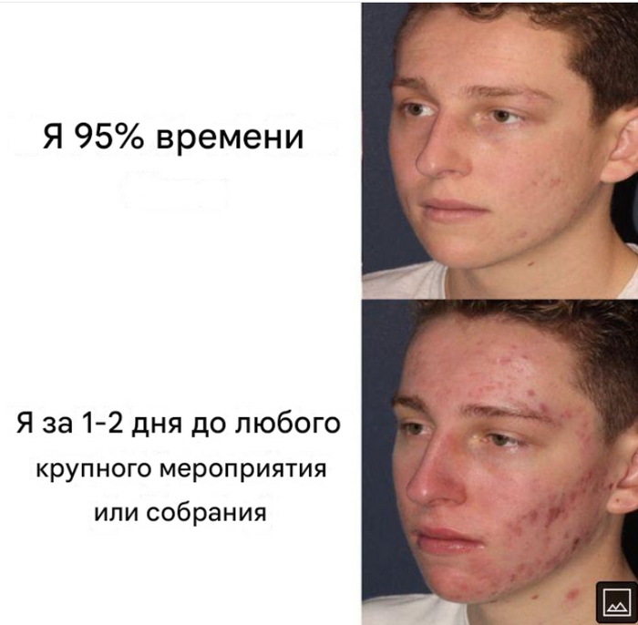  , ,   , , Telegram (), , , 