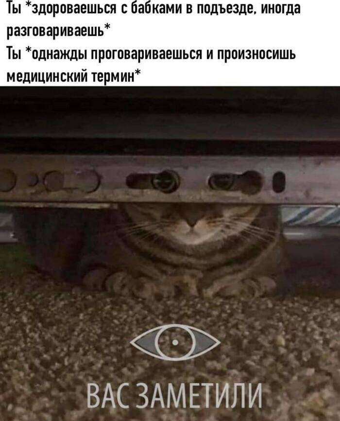   , , , , , , The Elder Scrolls V: Skyrim, ,  ,  , , , , , 