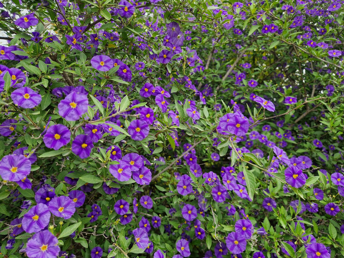 �����-�� ����