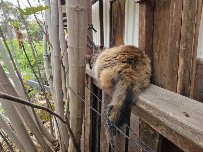 �����-�� ��� ���� �� ������� ��������� ����