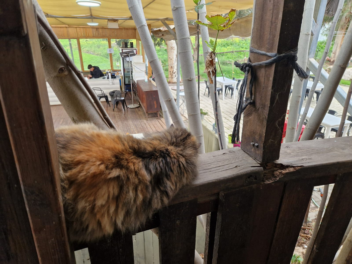 � ������� �������