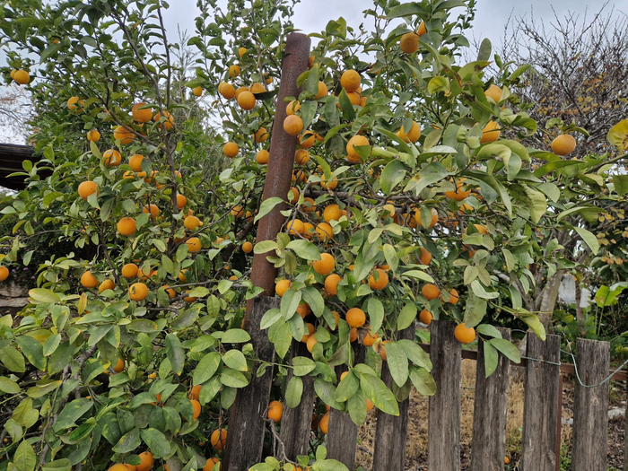 ���������. ���� ����� �� ��������, �� ��� �������� �����, ��� �� �������. ��, ��� ����