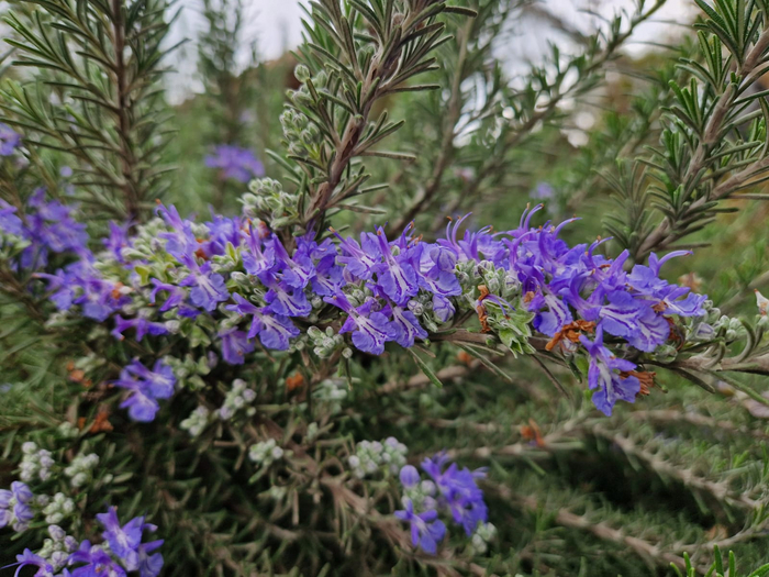 ��� ��� ��� ��������?... �� ����������