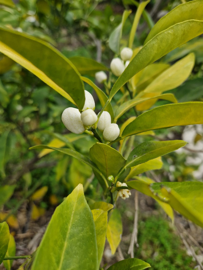 ��� ���������. ����� ��� ������ � ���� - �� ��� ������ ����������