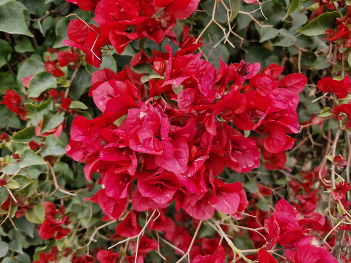 ��� �������� ��� ������ ����� ��������