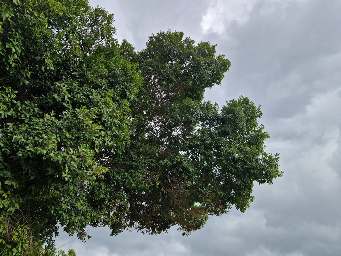 "�������, ����� ����������". ����� �� ���� �������