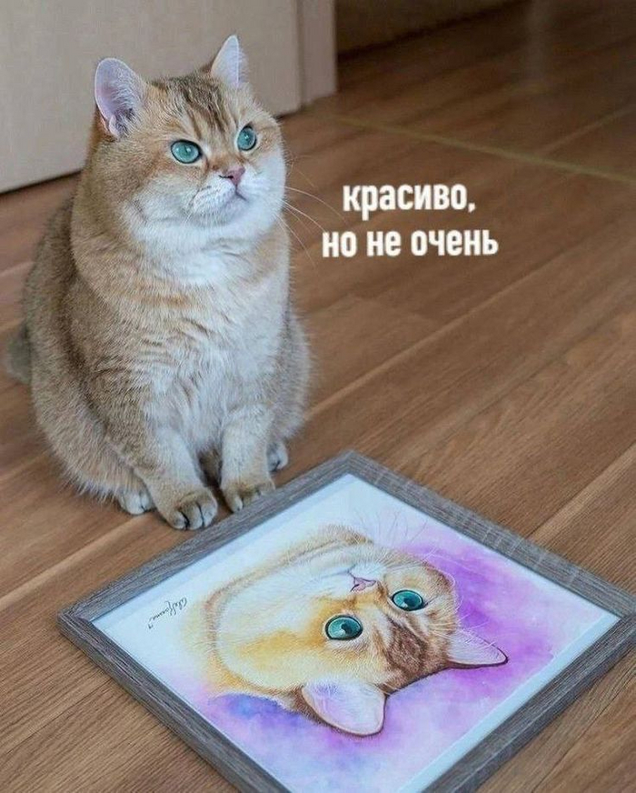    ,  ,  , , , , 