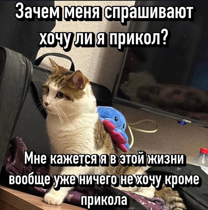 Только приколами и живём