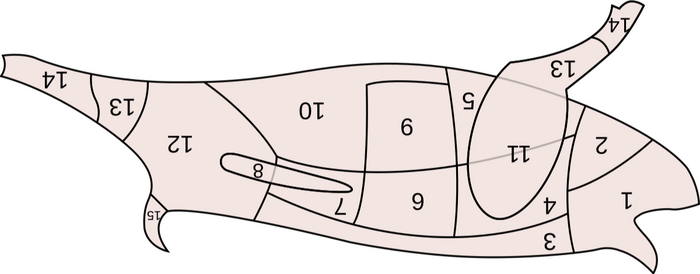 ������� �������. 