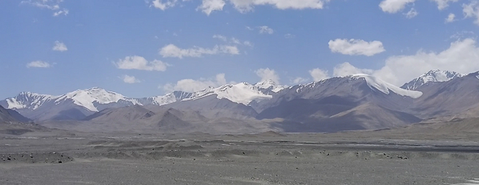 Еще марсианских видов