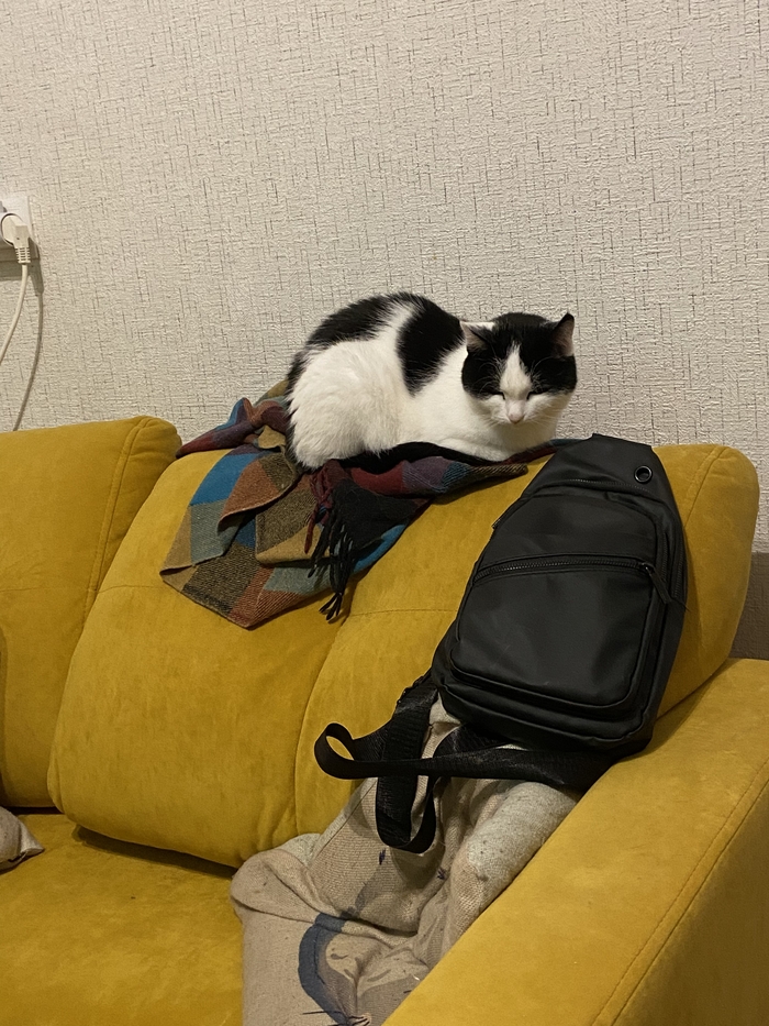    ,  ,  , , , , 