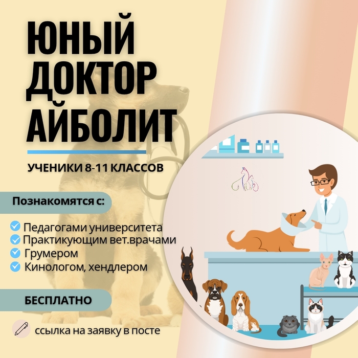    8-11  &quot;  &quot;. .