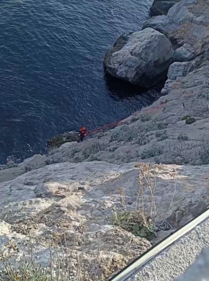 ���������� �������� ���������� ���� �� ������. ����: ������� ��������