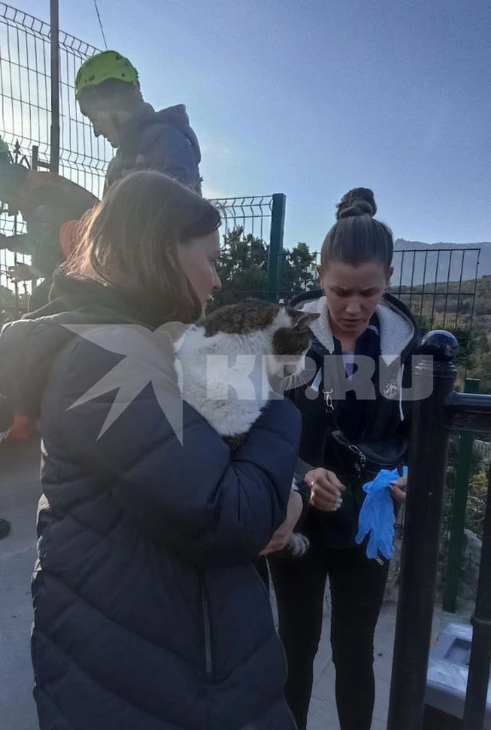 �������� �������� � �������� ����������. ����: ������� �������� ����