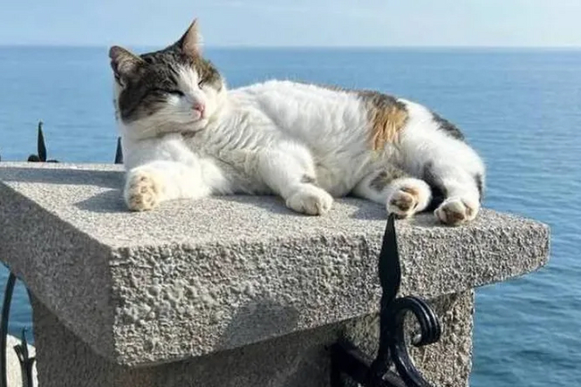 �������