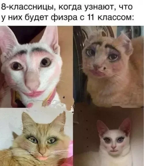 1740497954151510853.webp