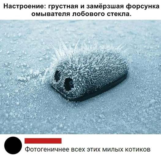 1740498273190254883.jpg
