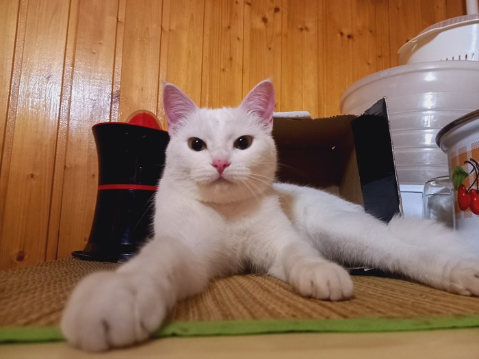  , ,   ,  , , , , , , , , , , 